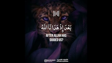 قُلْ أَنَدْعُو مِن دُونِ اللَّهِ__تلاوة قصيرة تريح القلب❤️❤️