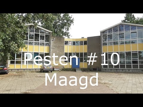 143 Pesten #10 Maagd