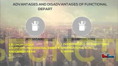 FORMS OF DEPARTMENTALIZATION part 2