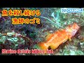 魚をただひたすら狩り続ける漁師のゴミがヤバイ…【海洋ゴミの実態】
