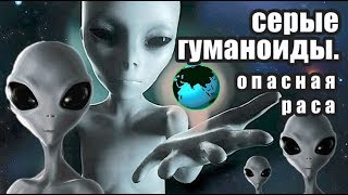 Серые гуманоиды.  Опасная инопланетная раса