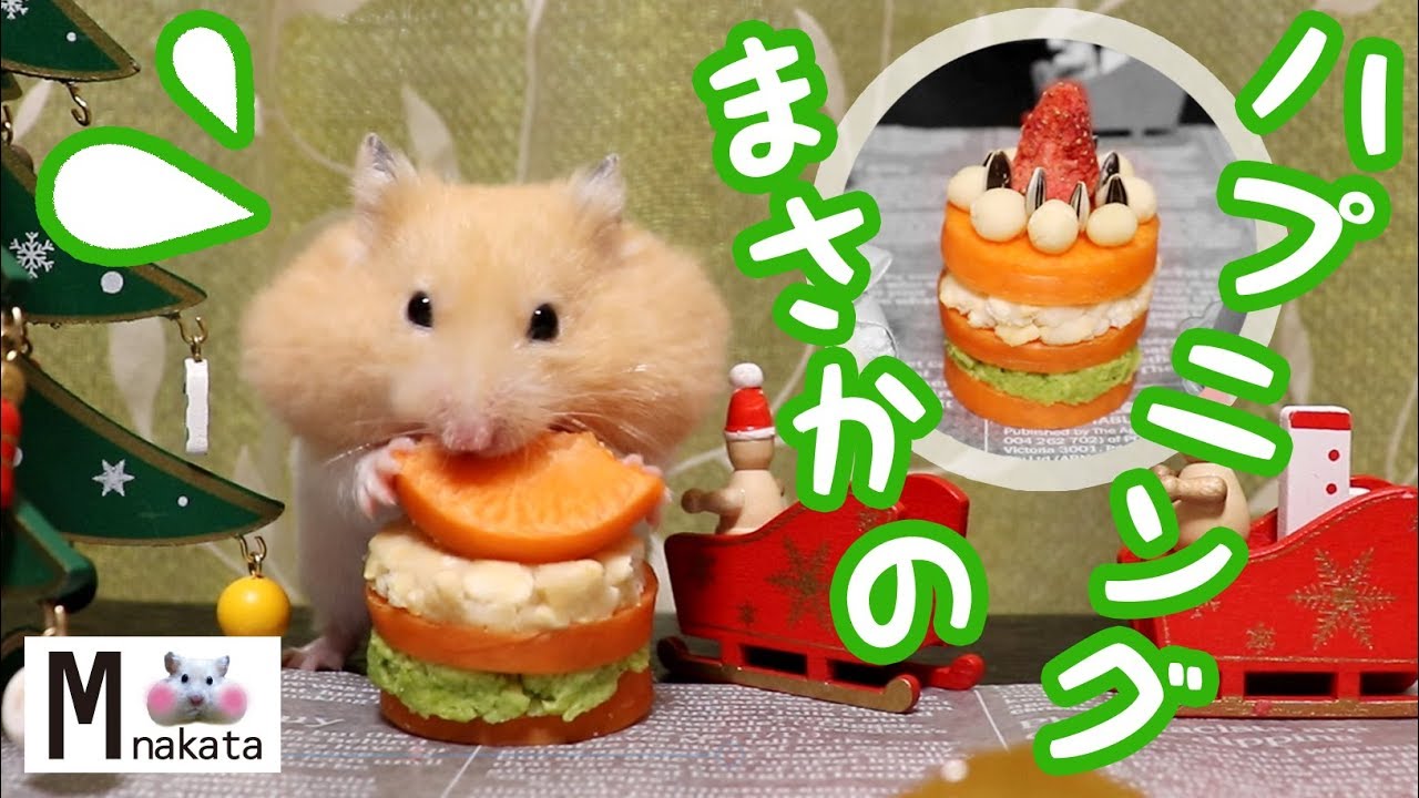 ハムスター 悲劇 クリスマスケーキに夢中になりすぎてまさかのハプニング おもしろ可愛い癒しhamsters Should Not Be Absorbed In Christmas Cakes Dougabu