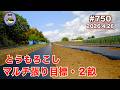 【とうもろこし】 第750話、3番畝と4番畝のマルチを張ります。#オーガニック栽培 #家庭菜園 #農業VLOG