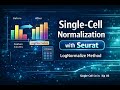Single-Cell RNA-seq Normalization in Seurat | LogNormalize Step by Step