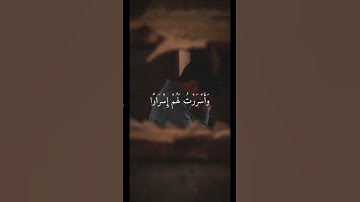تلاوة جميلة خاشعة بصوت الشيخ ماهر المعيقلي ارح سمعك