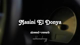 Nasini El Donya slowed+reverb