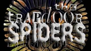 The TRAPDOOR SPIDERS - Burger of wrath (Jello Biafra Cover) concert d&#39;Halloween, Puisserguier 2017