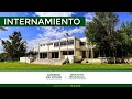 ¡REAPERTURA DEL INTERNAMIENTO EN COMUNIDAD TERAPÉUTICA! 💚