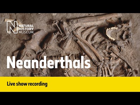 Neanderthals | Live talk with NHM scientist Instructional Video