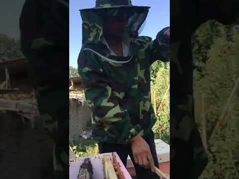 Двух Рамочный отводок