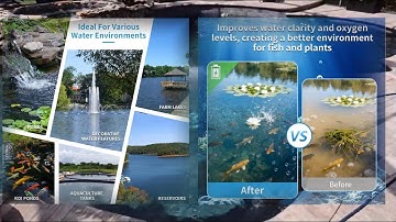 Fine Bubbles.Pure Oxygen. Better Pond Life.High-efficiency diffuser aeration for ponds & aquaculture