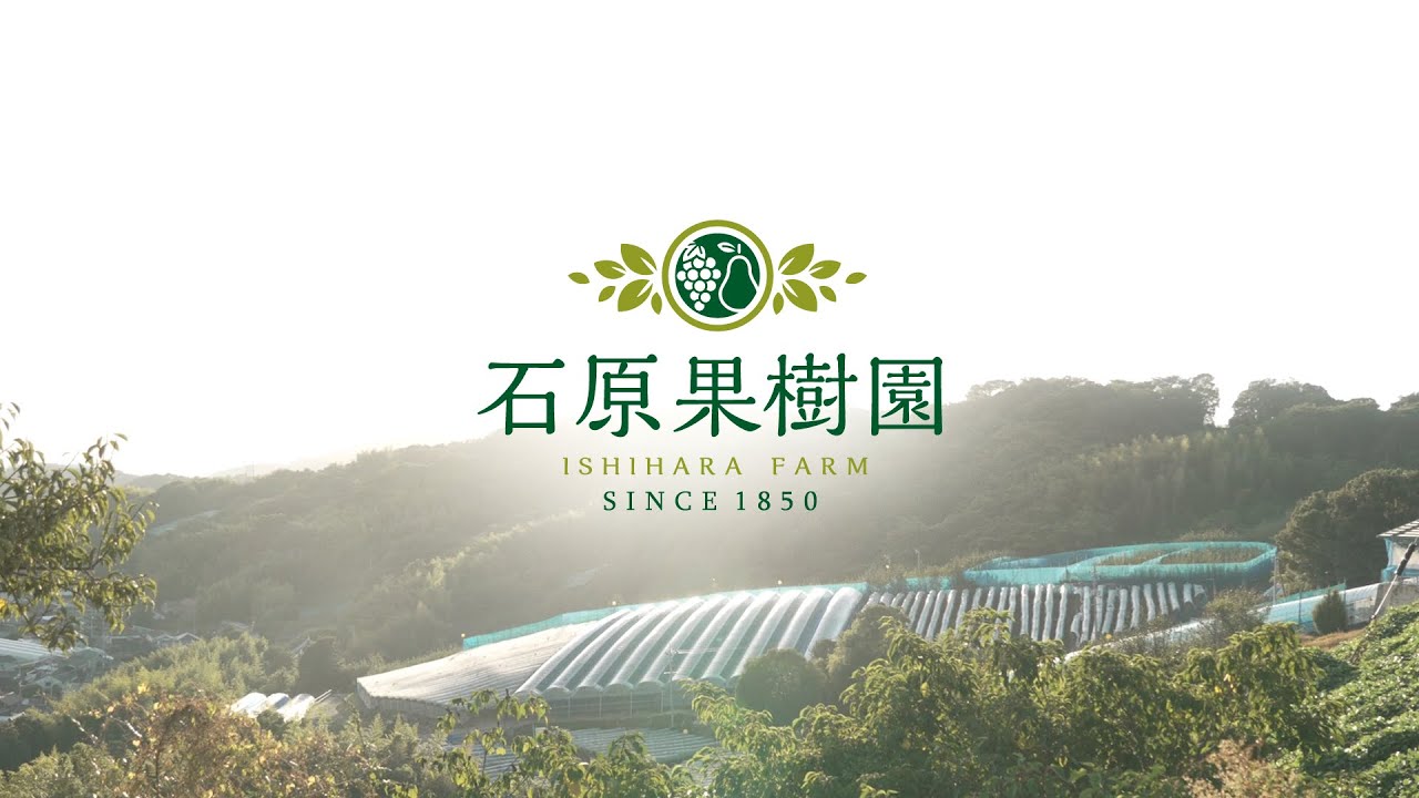 石原果樹園プロモーションムービー
