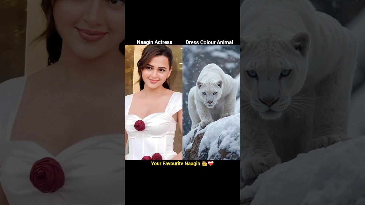 Dress Colour Animal Of Naagin Actress 🐍🦁 | Naagin Animal Colours | 