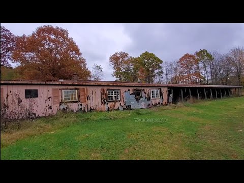 The Absolute Cutest Little Motel Ever. Abandoned