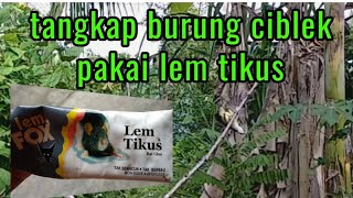 Video <span aria-label=