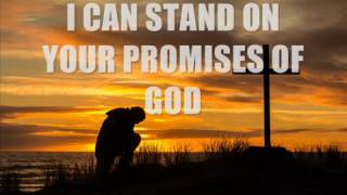 Seventh Time Down - Promises[Lyric Video]