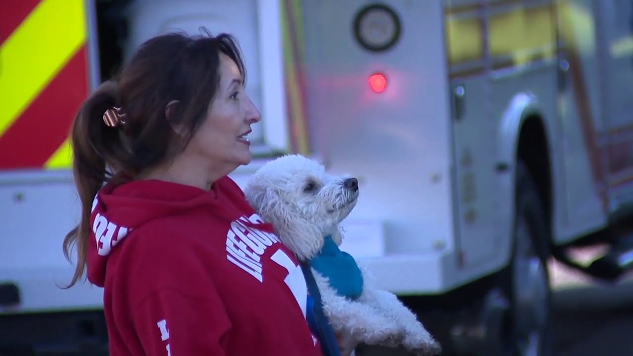 Dog alerts owner to neighbor’s house fire - YouTube