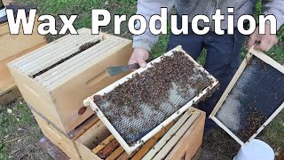 When to add a 2nd Brood Box. Experimental yard  Ep. 3#