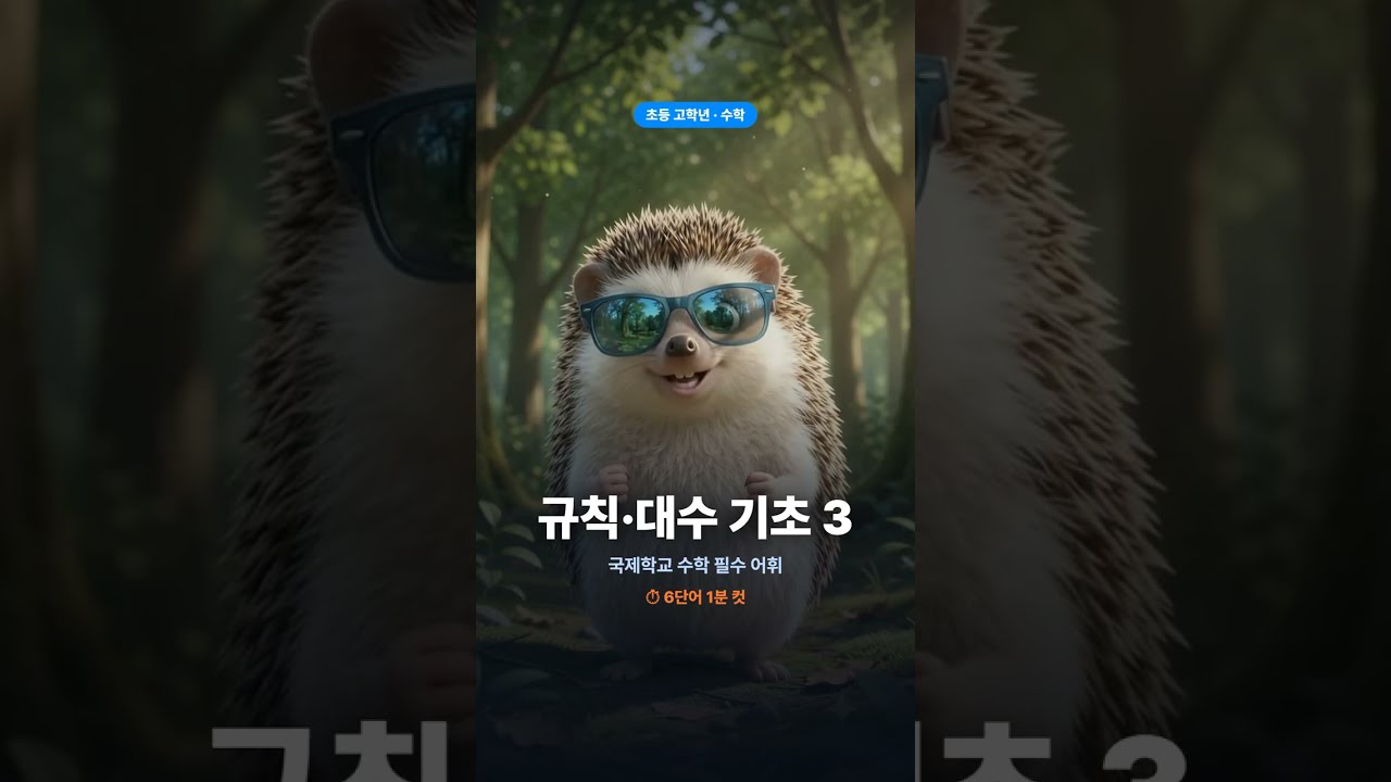 국제학교 준비 초등 고학년 수학어휘 규칙, 대수기초 3번