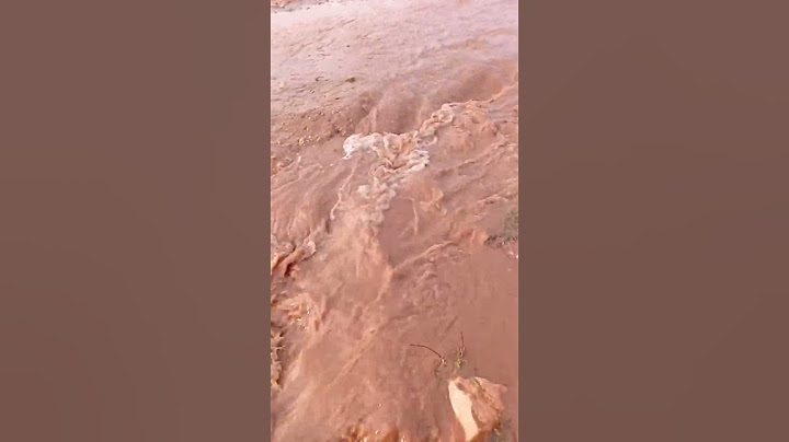 عادت المياه إلى مجاريها