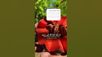 استمع👂للقران💟 ولو دقيقه من وقتك🕧 تلاوه🔊 خاشعه ارح سمعك👂 وقلبك ♥