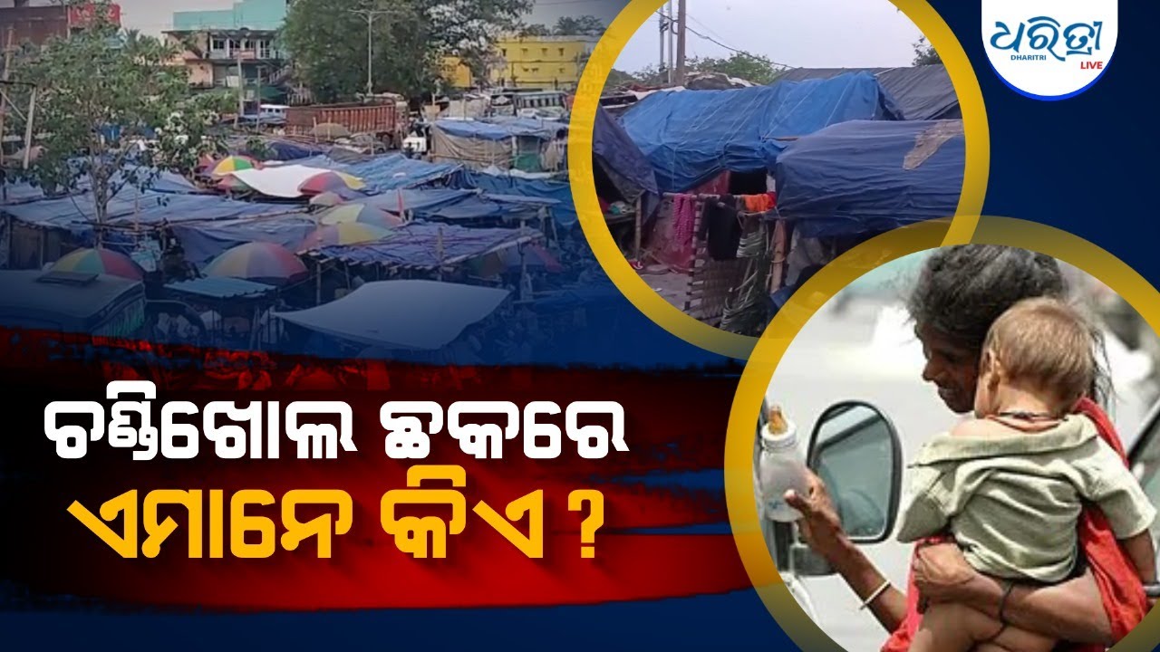ଚଣ୍ଡିଖୋଲରେ ଜରିପାଲ ତଳେ ରହୁଥିବା ପରିବାର କିଏ? | Jajpur | Chandikhole | Odisha | Dharitri Odia News