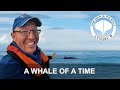 A whale of a time