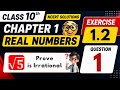 Class 10 Maths Ex 1.2 Q-1 | NCERT Solutions | Prove √5 is Irrational 🤯 | Real Numbers 💯