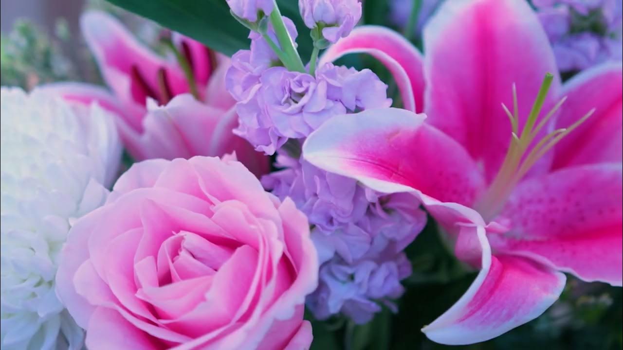 Best Birthday Flower Delivery in the UK Serenata Flowers YouTube