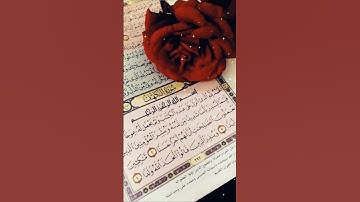 قران كريم سوره الفجر -&_ يقول يا ليتني قدمت لحياتي --- ارح قلبك 🌹🥀🥀 ستبكي على حالك 😭😭