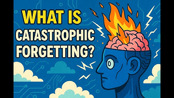 What is Catastrophic Forgetting?