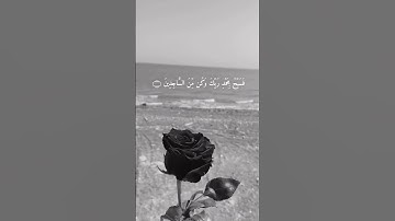 ولقد نعلم أنك يضيق صدرك بم يقولون💨الشيخ فارس عبّاد تلاوة عطرة