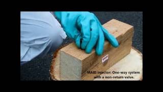 How to treat wood for wood destroying organisms with MABI injectors | MABI USA