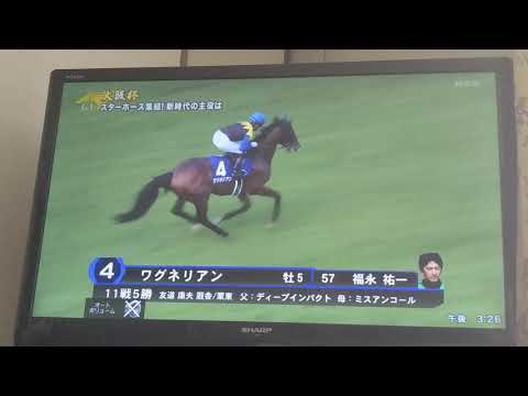 小説家が本馬場入場を喋ってみた 4/5 阪神11R 大阪杯(GⅠ)
