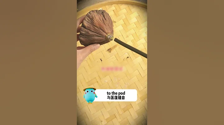 You won't believe this Chinese-style night light is made from a dried lotus! 💡🌸