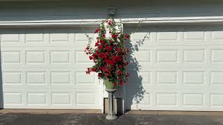 IMG 4868