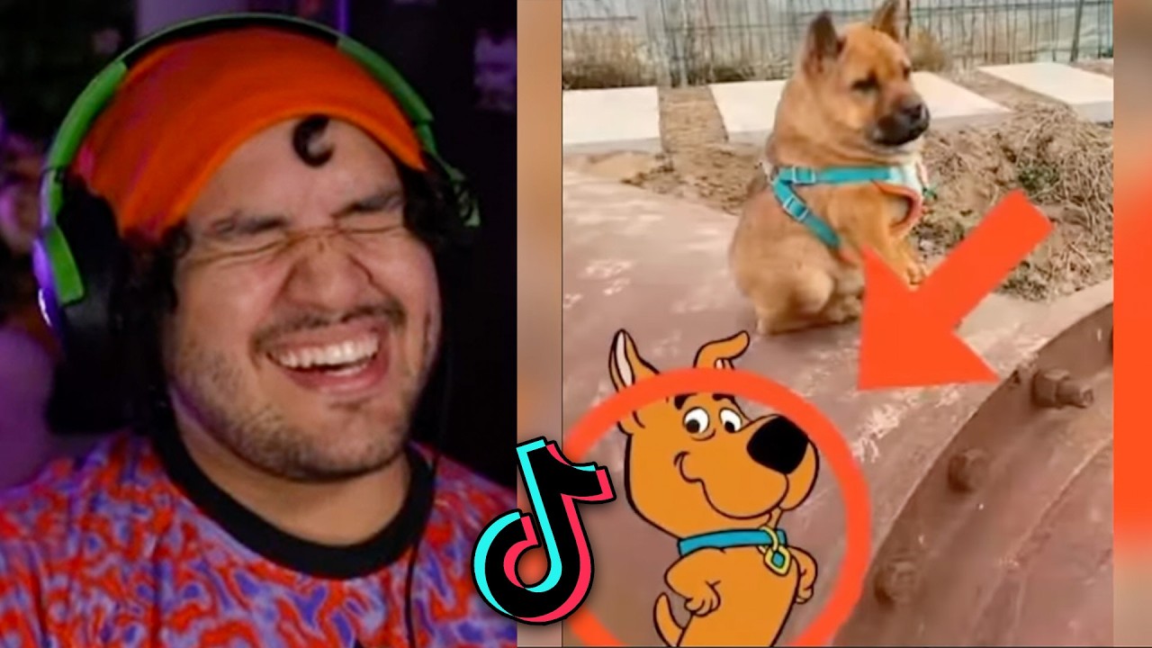 TIK TOKS TAN XD que te SACARAN una PEQUEÑA SONRISA 🤗