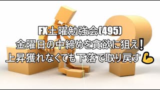 FX土曜勉強会(495)金曜日の中締めを貪欲に狙え❕上昇獲れなくても下落で取り戻す