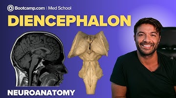 Diencephalon Explained | Thalamus, Hypothalamus & Epithalamus Functions for Med School