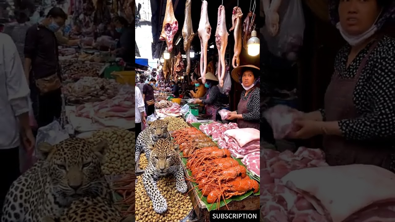 Jaw Dropping Southeast Asian Market An Unreal Mash Up of Exotic Beasts6