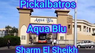 : Pickalbatros Aqua Blu Sharm El Sheikh.  .  1.