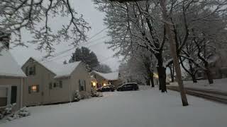 Walking the Dog in a Winter Wonderland, March 10 2023, Jamestown NY