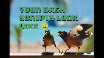 Write Better Bash Scripts! Use ShellCheck and shfmt