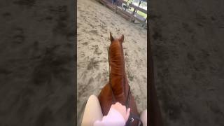Have you ridden bareback?