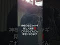 【偶然見た人強運】見逃したら次は12年後‼️ウサギ年ウサギのツキ神社🐰、神様の光が見れたら今からどんどん人生が好転します✨あなたは守られています‼️