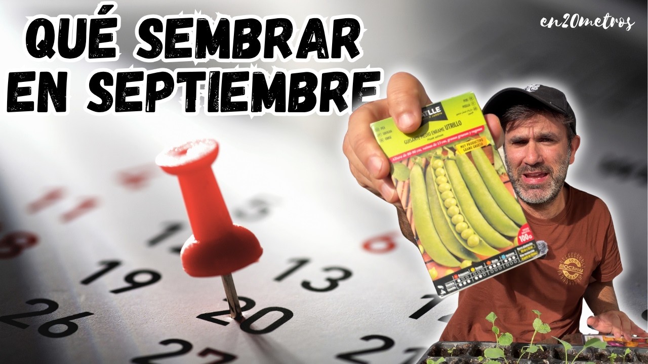 Qué sembrar en SEPTIEMBRE: CALENDARIO DE SIEMBRA y tareas para huerta y jardín || en20metros