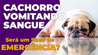 Cão vomitando sangue Clearance