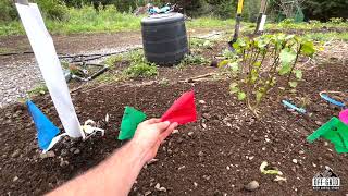 A High-Density Food Forest on 30 inch Beds! by Off-Grid with Curtis Stone 8,118 views 13 days ago 13 minutes, 41 seconds