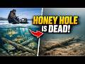 Your Winter Honey Hole Is a TRAP. Here’s Why It Died.