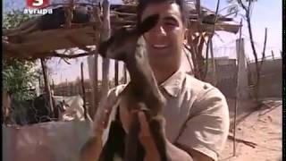 Ayna Programı - Moritanya